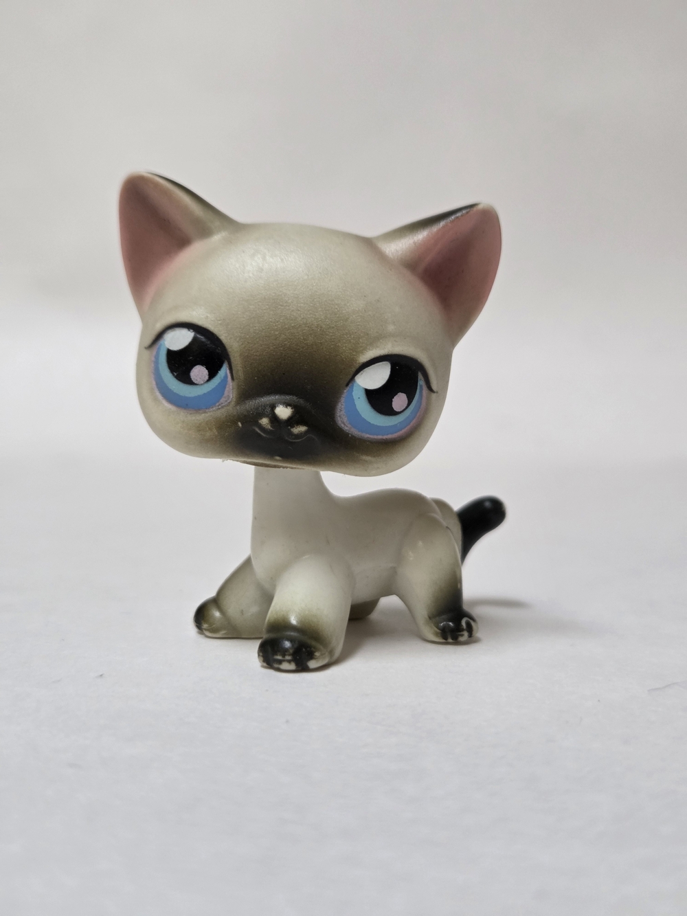 Littlest Pet Shop Cat #5 Siamese Shorthair Cat Authentic Hasbro LPS